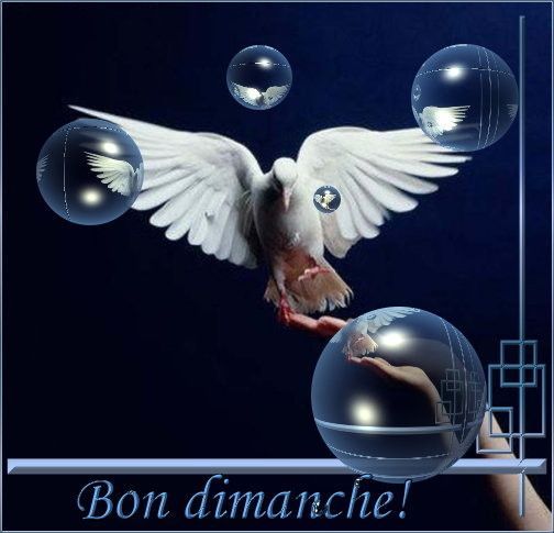 Bon Dimanche